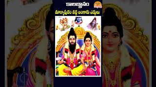 🙏మార్కాపురం వద్ద బంగారు ఎద్దులు 🙏 kalagnanam brahmamgaru ytshorts youtubeshorts [upl. by Ranita]