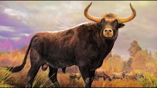 The DeExtinction of the Aurochs [upl. by Joly]