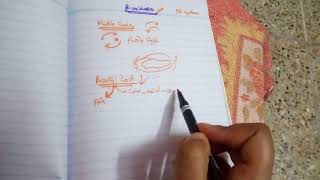 BETA OXIDATION OF FATTY ACIDS part 4 energy calculations with imp viva questions [upl. by Atika]