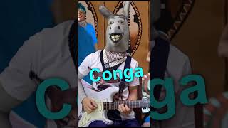 Conga Gloria Estefan Guitar Instrumental Cover by Donkey Guitar [upl. by Volny]