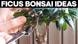 Ficus Bonsai Trees  Pruning and Shaping Ideas 🌱 [upl. by Lulu]