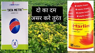 Tata metri Herbicide  Harlin super  technical खरपतवार नियंत्रण DKKISANFARMIG [upl. by Cadmann]