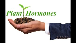 Phytohormones  The Unseen Power of Plant Development 7 Minutes [upl. by Olmsted639]