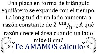 Si NO SABES geometría SUFRIRÁS [upl. by Jill568]