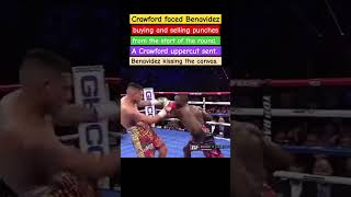 Crawford VS BenavidezA Crawford uppercut sent Benavidez kissing the canvasBA Sportee8wfboxing [upl. by Breh325]