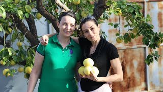 Heghineh Family Vlog 64  Հարևանները  Heghineh Cooking Show in Armenian [upl. by Ideih]