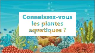 Connaissezvous les plantes aquatiques [upl. by Varion580]