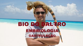 EMBRIOLOGIA  PARTE 03  GASTRULAÇÃO [upl. by Chilton]