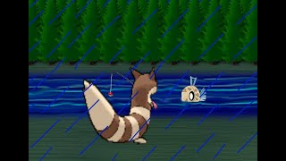 Furret Walk with a Shy New Friend Hoenn Route 119 10 hours [upl. by Gord]