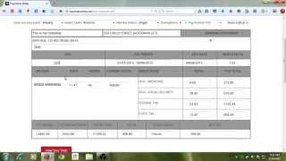 How to make a pay stub  free preview [upl. by Ehud233]