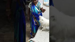 Honey mom ke sath kaise khelta hai akashrbl783 youtubeshorts ranivlogrbl शोर्ट्स [upl. by Metcalf611]