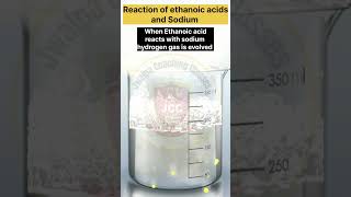 Reaction of Ethanoic acid with sodium shortsfeed practical scienceexperiment chemistry shorts [upl. by Quintie376]