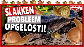 SLAKKEN PROBLEEM OPGELOST  Week 20  Vlog 88  Hoeveel water en voeding geef je jonge planten [upl. by Burke]