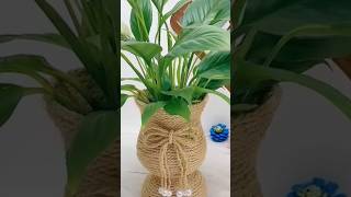 Flower pot ideas❤️✨youtubeshorts diy bottleart flowerpot bottleflowervase shorts viralshorts [upl. by Medarda]