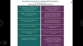 Difference between Homologous and non homologous chromosomes  Chromatids  Recombinant and non chr [upl. by Glori]