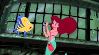 The Little Mermaid  Shark Scene  Predator  Prey [upl. by Nalhsa274]