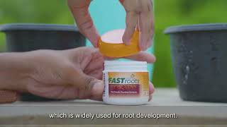 How to Use Divinetree Fastroot  Rooting Hormone Powder for Plants  Root Stimulant Powder fastroot [upl. by Bern669]