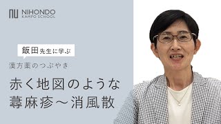 赤く地図のような蕁麻疹～消風散 漢方薬のつぶやき【薬日本堂】 漢方 漢方養生指導士 漢方薬 漢方薬のつぶやき 消風散 蕁麻疹 湿疹 かゆみ 皮膚炎 水虫 あせも 飯田勝恵 [upl. by Naenaj]