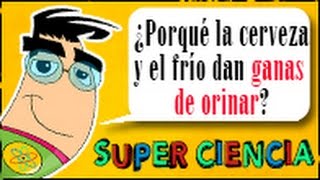 ¿Por qué con la CERVEZA y el FRÍO te dan GANAS DE IR AL BAÑO [upl. by Assirahc]