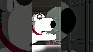 Stewie Sold Brian Into TikTok Slavery familyguy funny shorts [upl. by Danila]