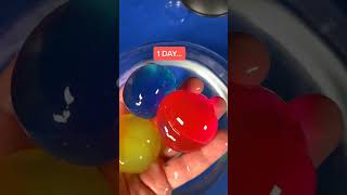 🌈 Water Balz Jumbo Polymer Balls [upl. by Claudetta]