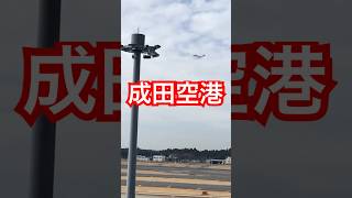 【成田空港】利用は羽田ばかりなのでたまに成田空港へ行くと何時間も滞在してしまう✈️ 成田空港 [upl. by Nolrac]