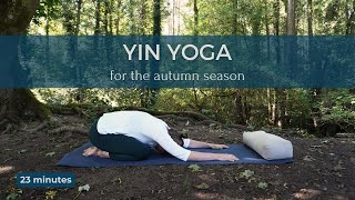 YIN YOGA for the AUTUMN SEASON  23 minutes [upl. by Yrehcaz683]