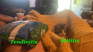 Tendinitis and kittitis [upl. by Ylnevaeh576]