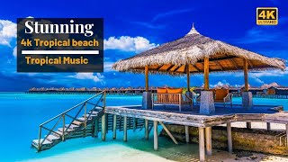 4k Tropical Beach  Beautiful Tropical Music  Chill amp House Music  Maldives Island amp Bora Bora [upl. by Aihsetal]