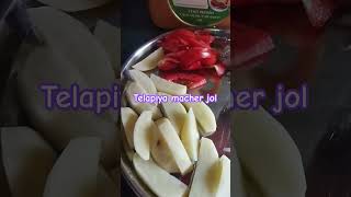 Telapiya mach  dhonepata diye macher jolrecipe food  fish curry [upl. by Enyaw]