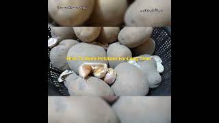 How To Store Potatoes For Long Term  Shorts [upl. by Ahsuas812]