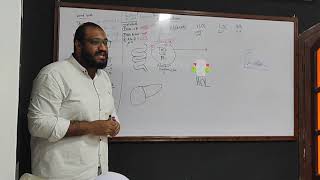 Biochemistry  2nd year  Plasma Lipoprotein metabolism [upl. by Timothy877]