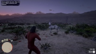 Red Dead Redemption 2 Horseman 10 Challenge  Nokota [upl. by Kinelski376]