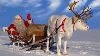 Santa Claus for kids 🦌🎅 Best reindeer rides of Father Christmas in Lapland Finland for children [upl. by Robma]