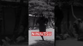 How To Do NINJUTSU Caltrops Techniques from TOGAKURE RYU 💥 Shorts Ninjutsu MartialArts [upl. by Ellehsad]