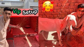 Hum Na Apna Bakra Ka VIP Setup Kardia 😍Bakra Ka Name be Rakh Dia 😍 [upl. by Ainedrag876]