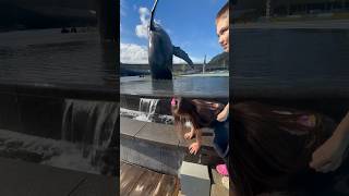 downtown juneau Alaska shorts adventure fyp summer [upl. by Attwood]