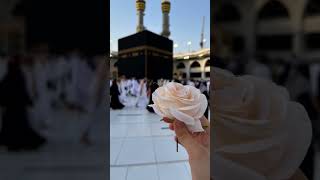 Naat Sharif newnaat trendingvideo shortsfeed shortvideo ytshort [upl. by Anavoig653]