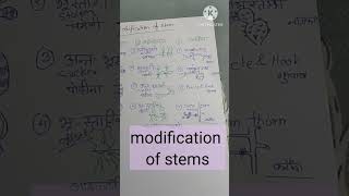 modification of roots and stems quick recap 11th education ncert [upl. by Pardew]