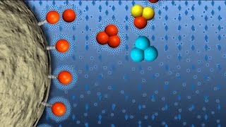 Hydrophobic Interaction Chromatography GFP Purification part 4 of 6 [upl. by Gilead]