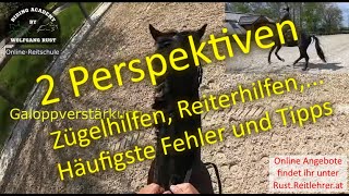 F103 Reiterperspektive Zügeleinwirkung am Pferd Reiterhilfen Verstärkungen Übergänge Reiterfehler [upl. by Straus346]