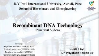 Recombinant DNA Technology Practical  RDT [upl. by Yardley]