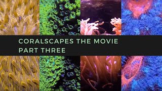 Coralscapes the Movie  Part Three [upl. by Zeculon933]