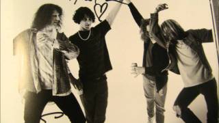 Mudhoney The Money Will Roll Right In Live 1993 [upl. by Gilda803]