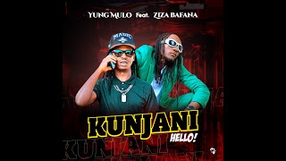 Ziza Bafana  KUNJANI Ft Yung MuloMusic Visualizer [upl. by Longwood858]