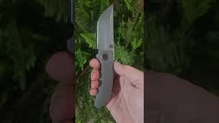 WE Knives Thug XL [upl. by Barbe]