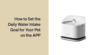 How to Set the Daily Water Intake Goal for Your Pet on the App  Petlibro Dockstream RFID Fountain [upl. by Kappel]