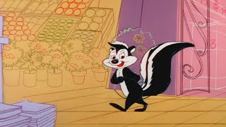 Pepe Le Pew There is no point in listening to such lies [upl. by Hamimej]