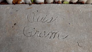 Inside GRAM PARSONS House amp DERRY DOWN Winter Haven FL [upl. by Suneya889]