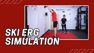 Ski Erg Simulation  Cable Machine Exercise [upl. by Ribak]